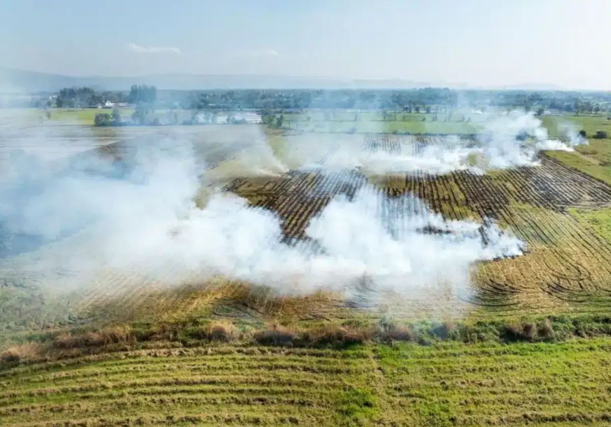 Farming and Atmospheric Carbon